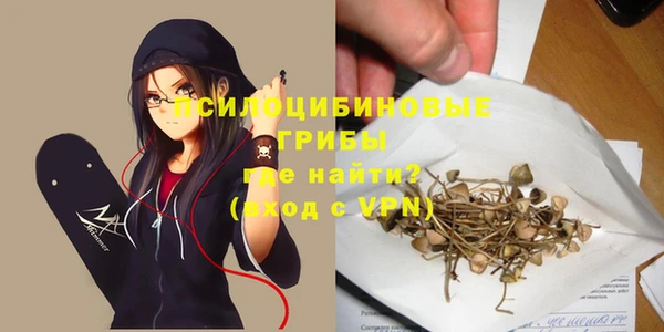 шишки Навашино